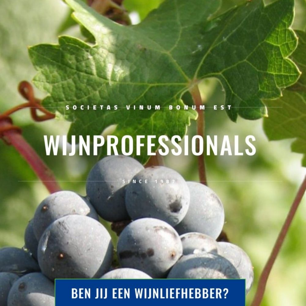 Portfolio P-inc, websites voor ZZP, SVBE Wijnprofessionals