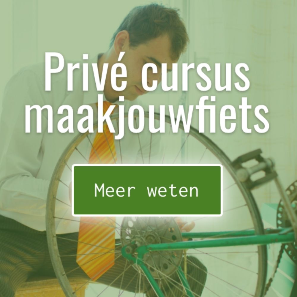 Portfolio P-inc, websites voor zzp, fietsjouwmaker